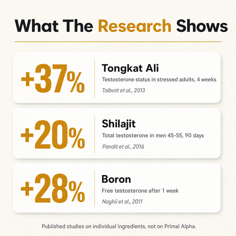 Published research on Tongkat Ali, Shilajit and Boron