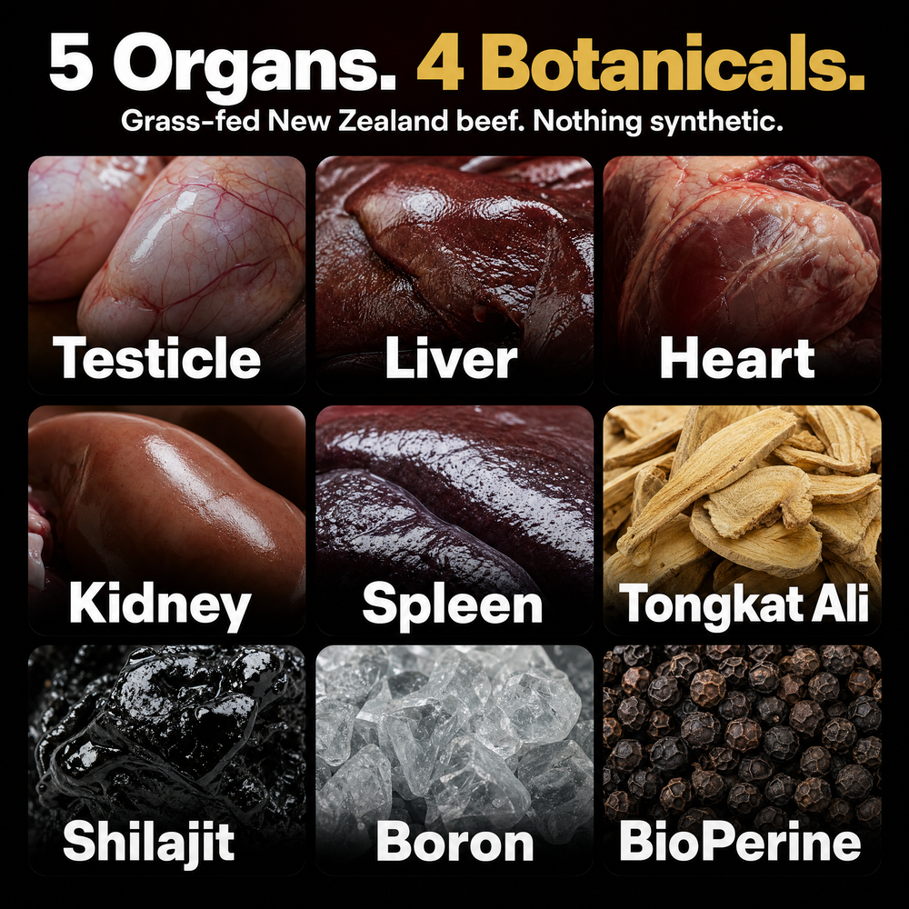 5 grass-fed organs and 4 botanicals